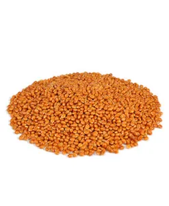 Red millet (25 g — ART. 9002)