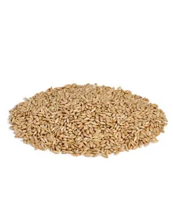 Canary seed (25 kg — ART. 9003)