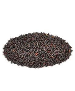 Rape seed (25 kg — ART. 9004)