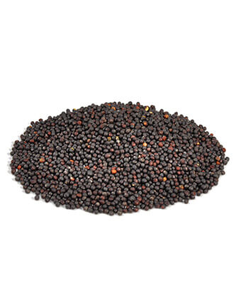 Rape seed (25 kg — ART. 9004)