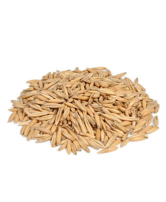 Oat (25 kg — ART. 9006)