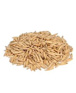Oat (25 kg — ART. 9006)