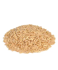 Peeled oat (25 kg — ART. 9007)