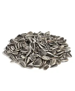 Sunflower seed (20 kg — ART. 9008)