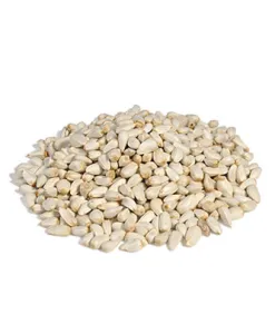 Safflower seed (25 kg — ART. 9015)