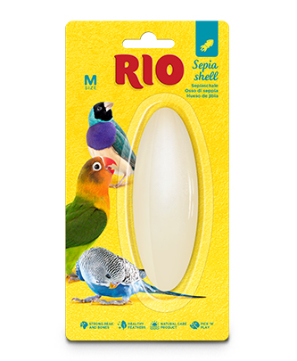 RIO Sepia shell, size M (1 pc — ART. 23080)