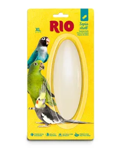 RIO Sepia shell, size XL (1 pc — ART. 23051)