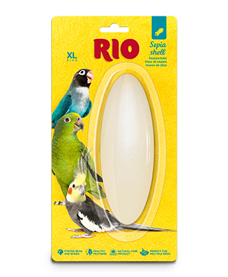 RIO Sepia shell, size XL (1 pc — ART. 23051)
