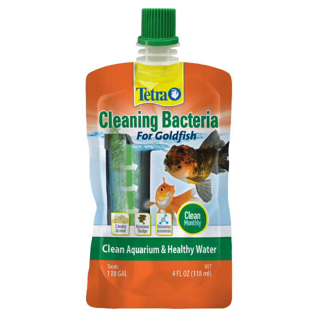 Goldfish Cleaning Bacteria