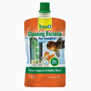 Goldسمك Cleaning Bacteria