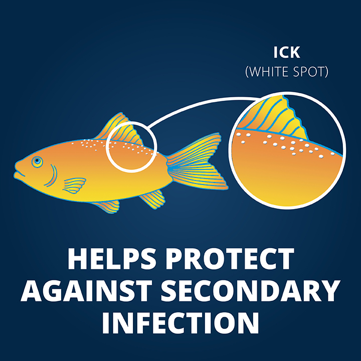 Ick Guard® Tablets