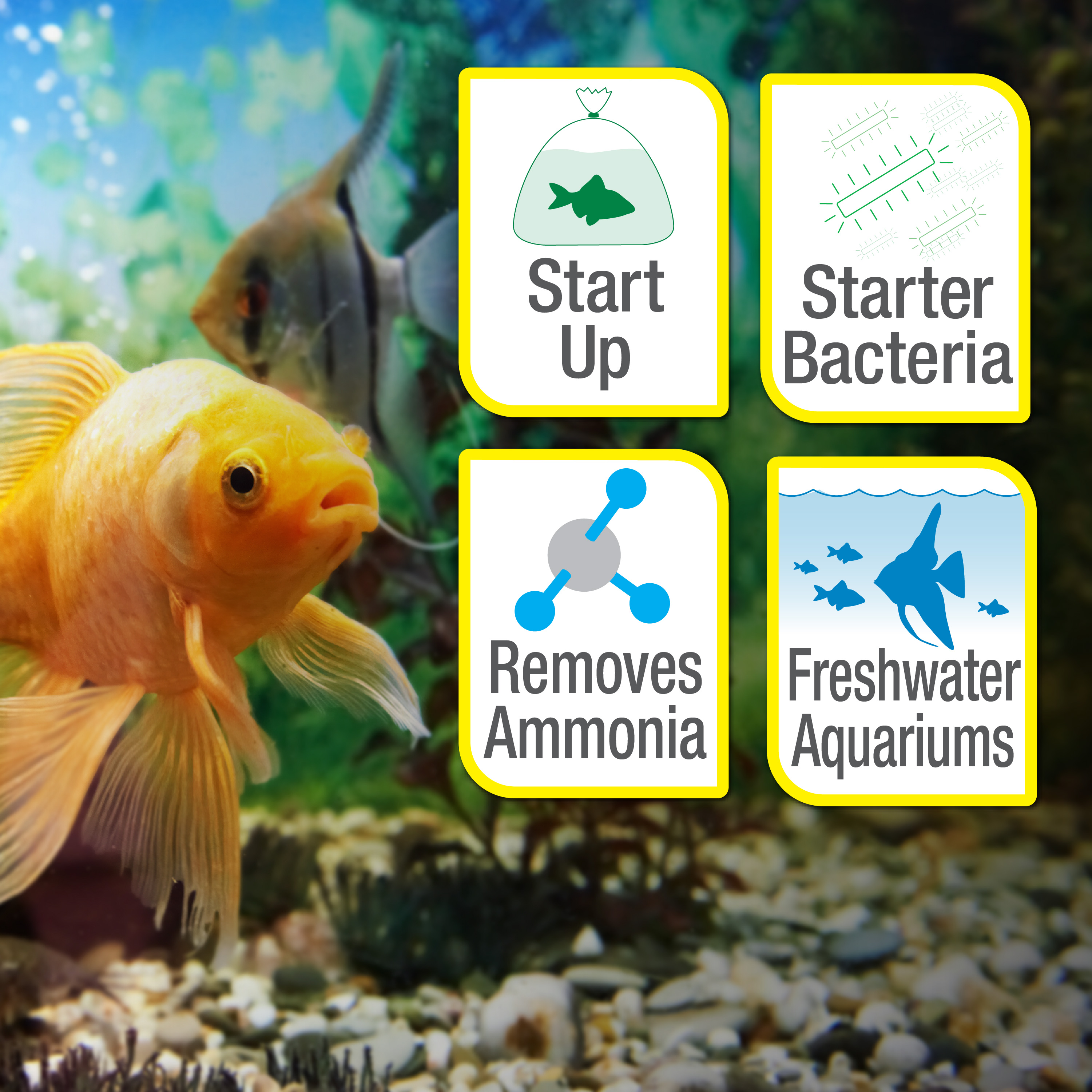 SafeStart™