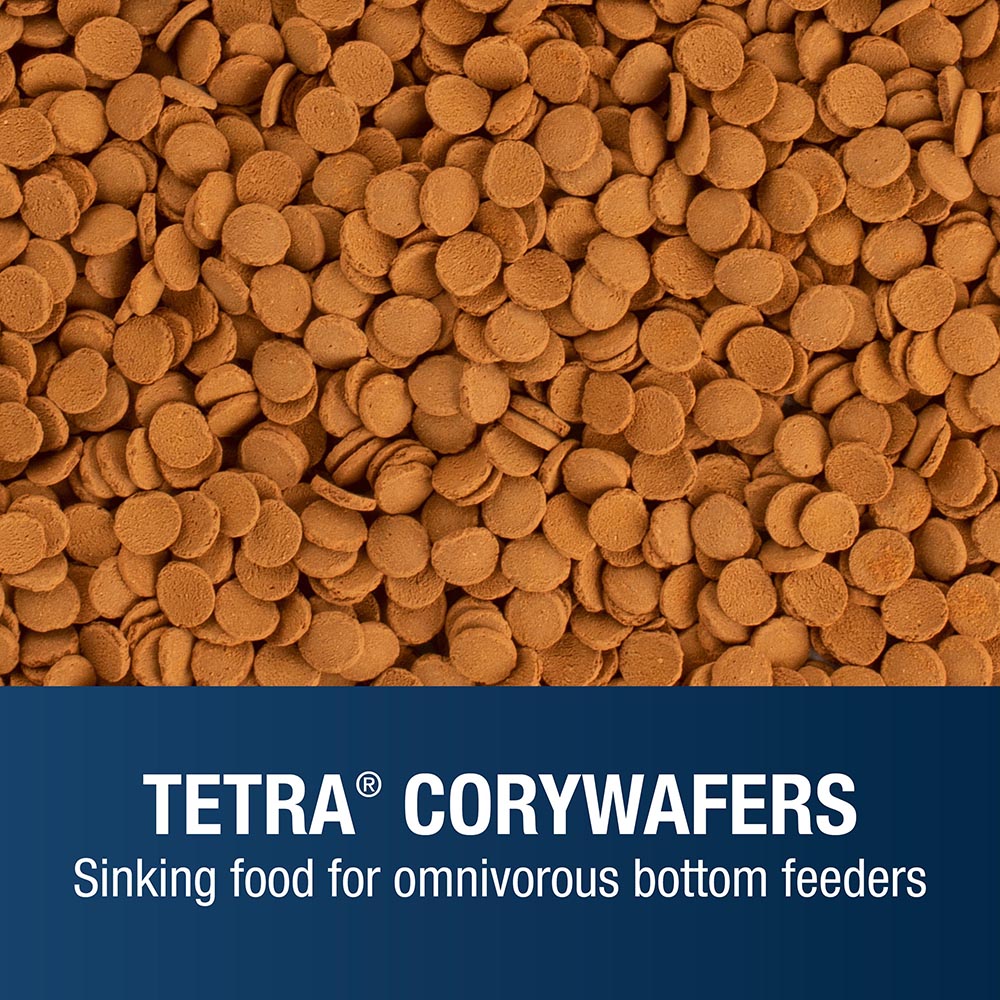Cory Wafers