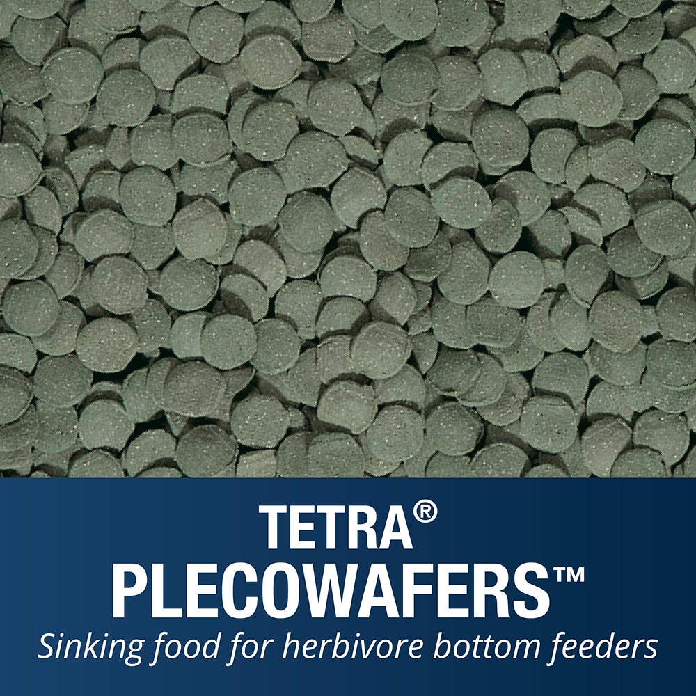 PlecoWafers™