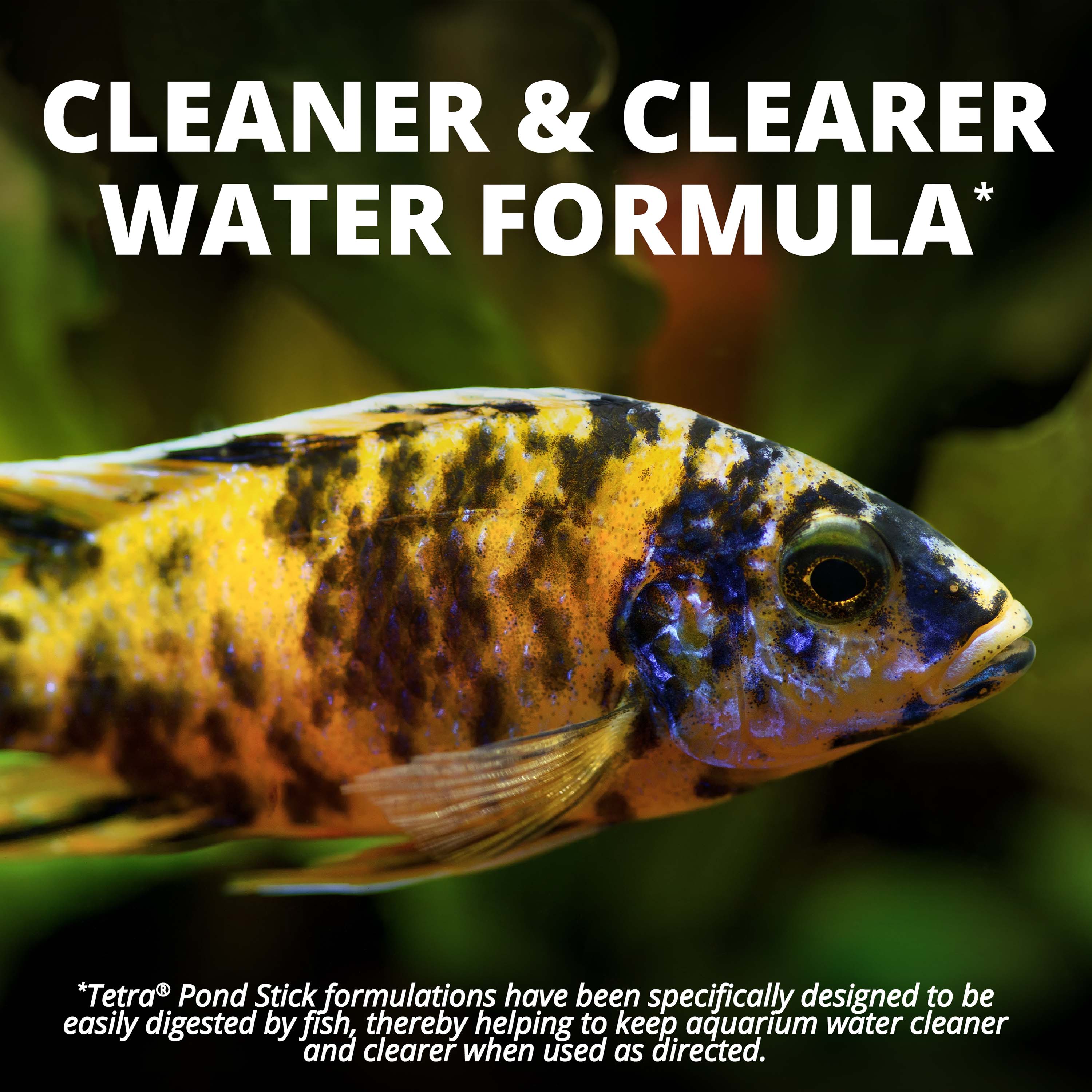 TetraCichlid™ Cichlid Flakes