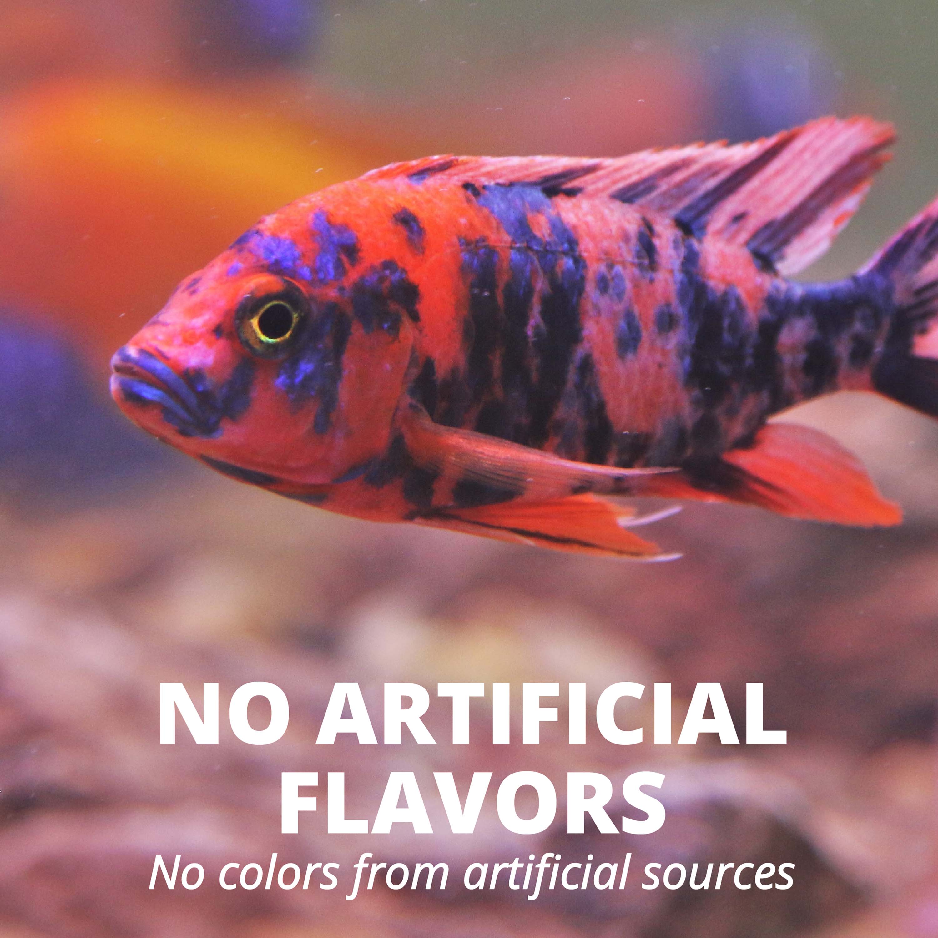 TetraCichlid™ Cichlid Flakes