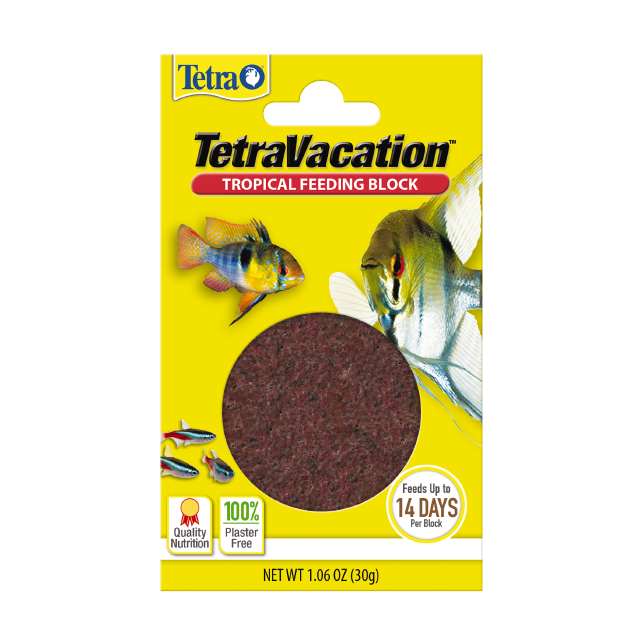Vacation Tropical Feeding Block
