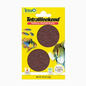 Weekend Tropical Feeding Block