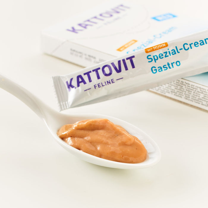 snack spezial cream schachtel 11 x 6 x 15g gastro