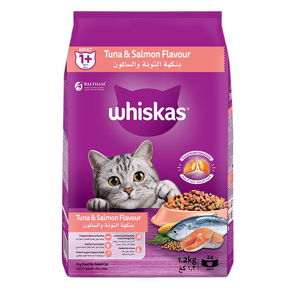 whiskas dry 1 plus years tuna and salmon flavour
