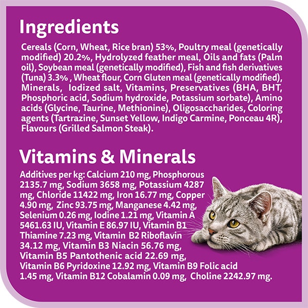whiskas dry 1 plus years grilled salmon steak flavour