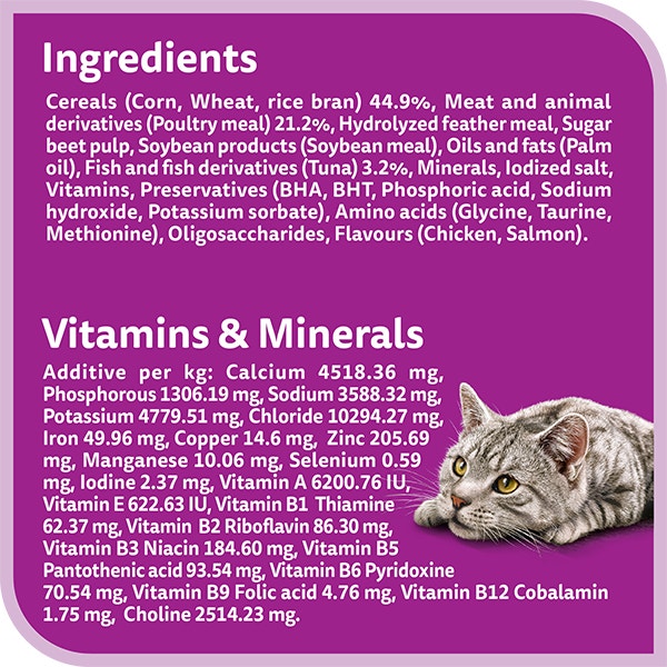 whiskas dry 1 plus years skin and coat chicken and salmon flavour