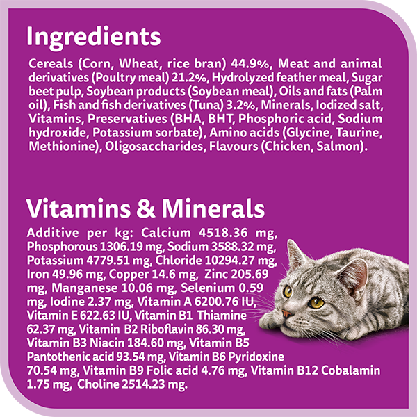 whiskas dry 1 plus years skin and coat chicken and salmon flavour