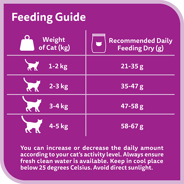 whiskas dry 1 plus years skin and coat chicken and salmon flavour