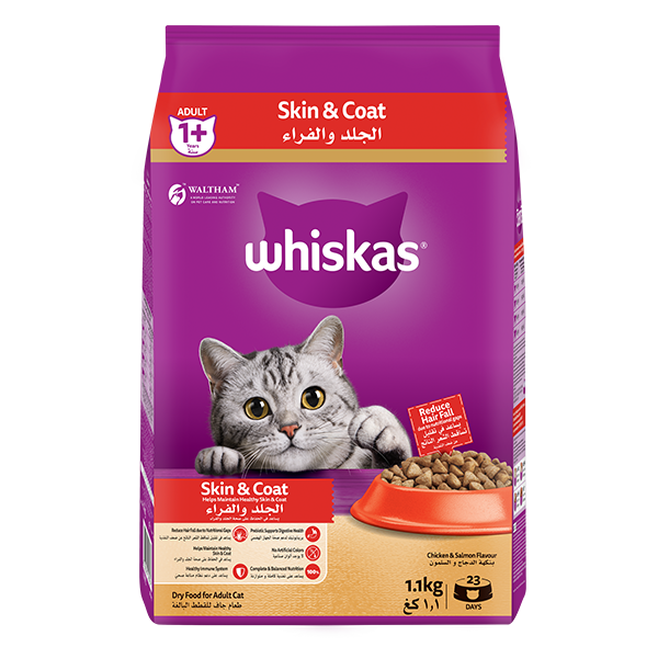 whiskas dry 1 plus years skin and coat chicken and salmon flavour