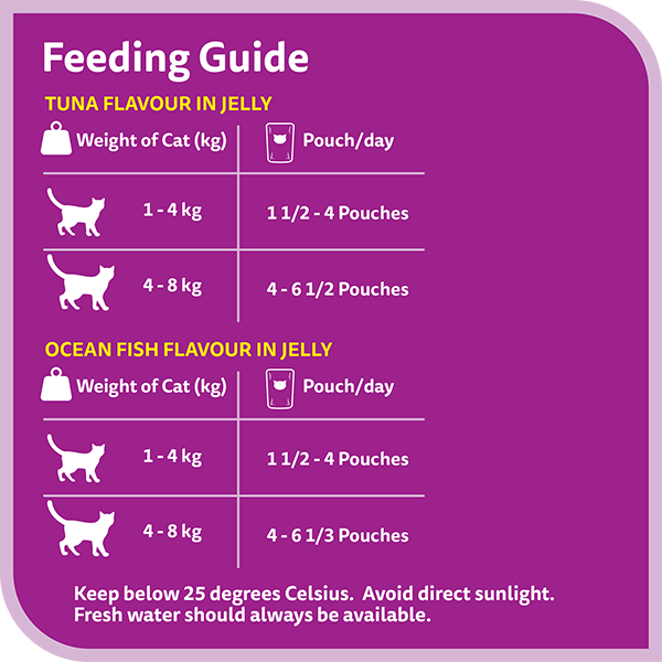 whiskas 1 plus years fishy selection in jelly multipack