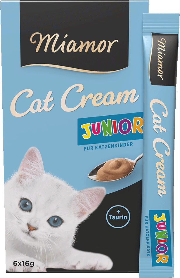 Cat Snack (Cream) - Junior-Cream - Schachtel - 6x16g