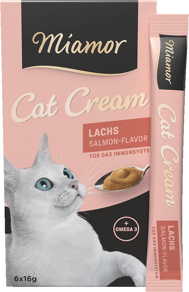 Cat Snack (Cream) - Lachs-Cream - Schachtel - 6x16g